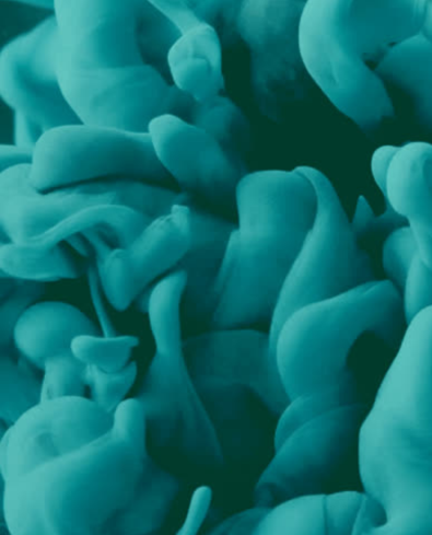 Abstract Reel